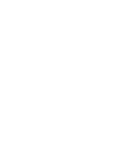 Odin Lined Logo